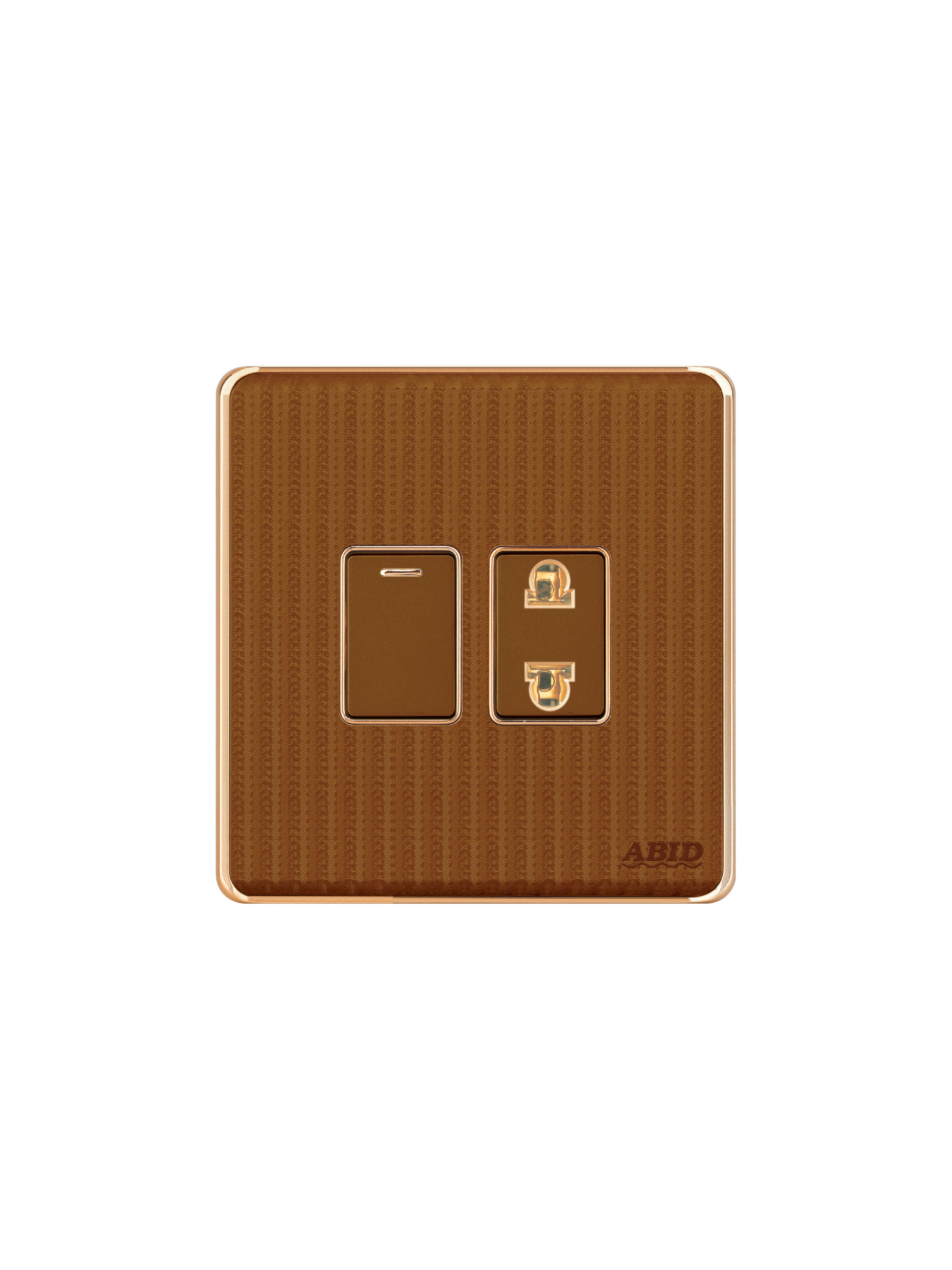 One Switch One Socket (1+1)(1)