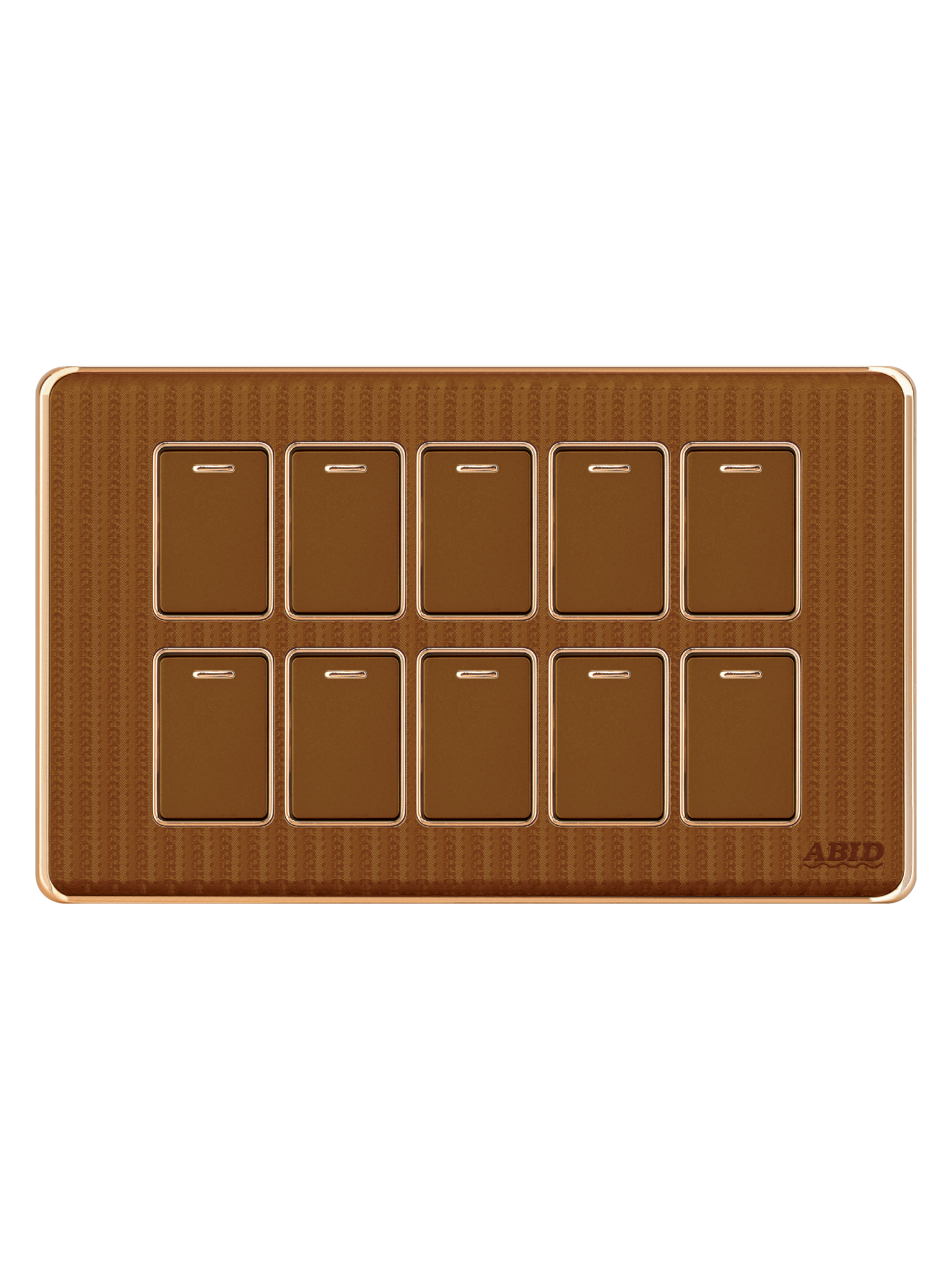 Ten Switch Plate (10G)(1)