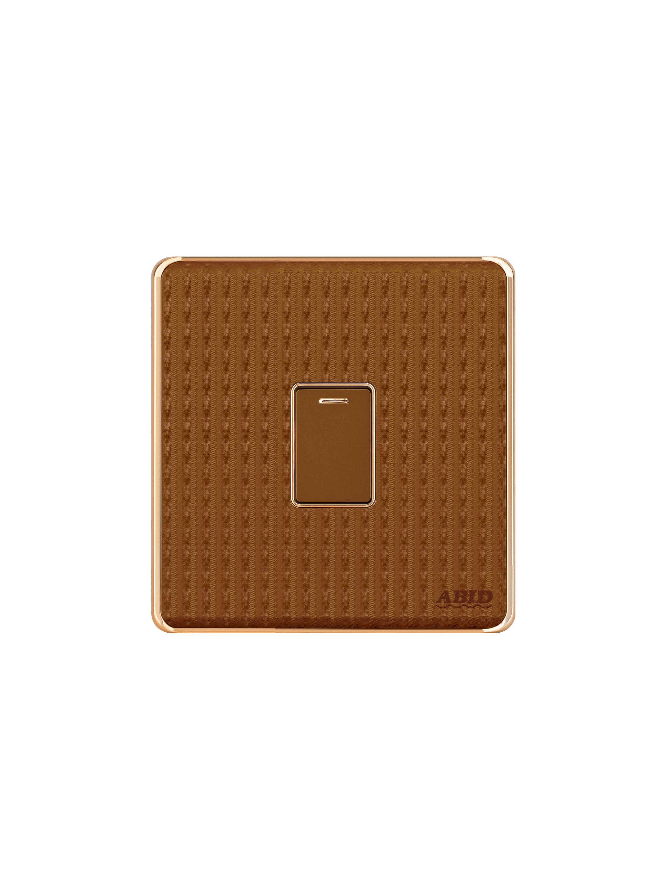 One Switch plate (1G)(1)