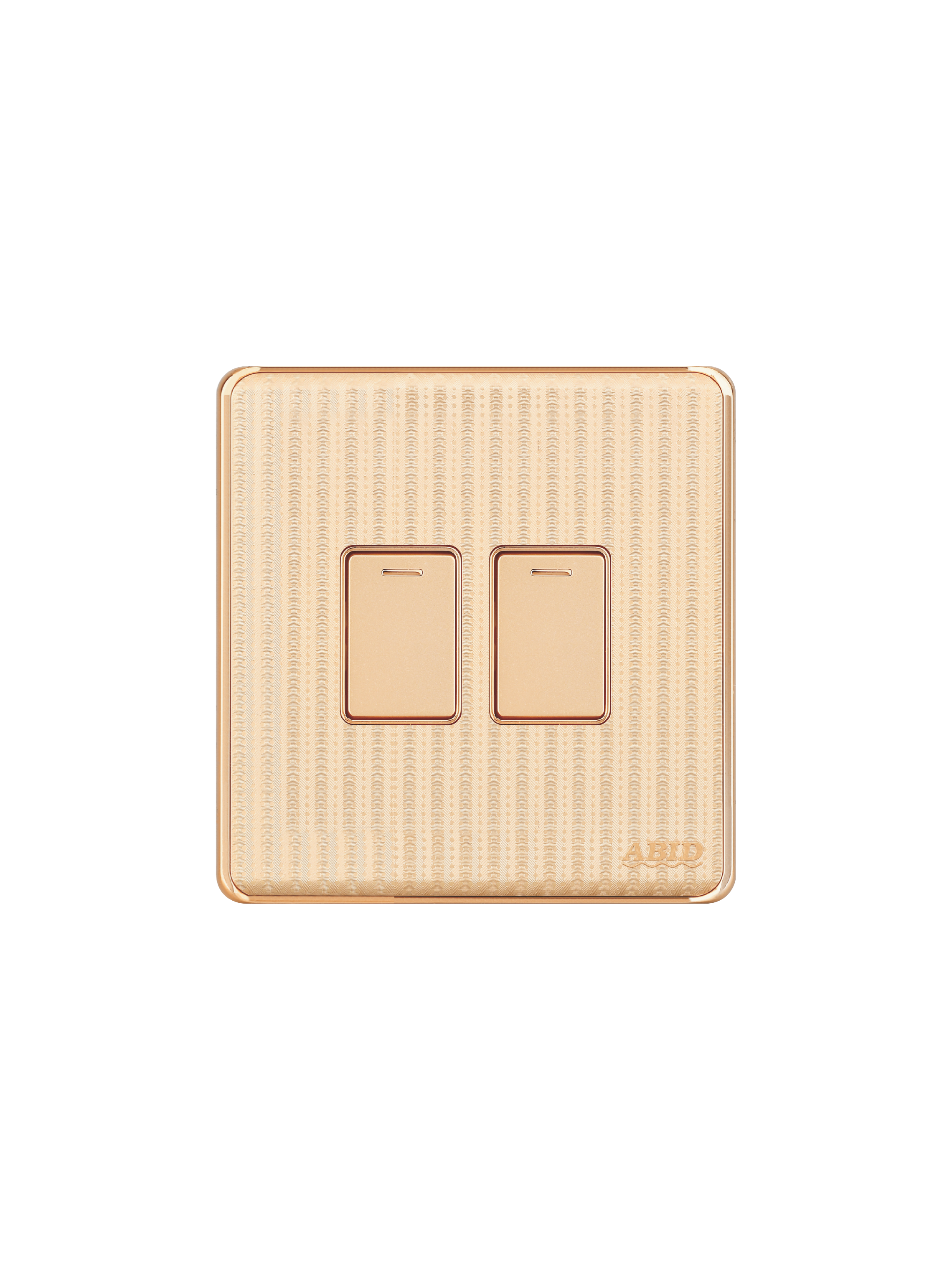 Two Switch Plate (2G)(1)