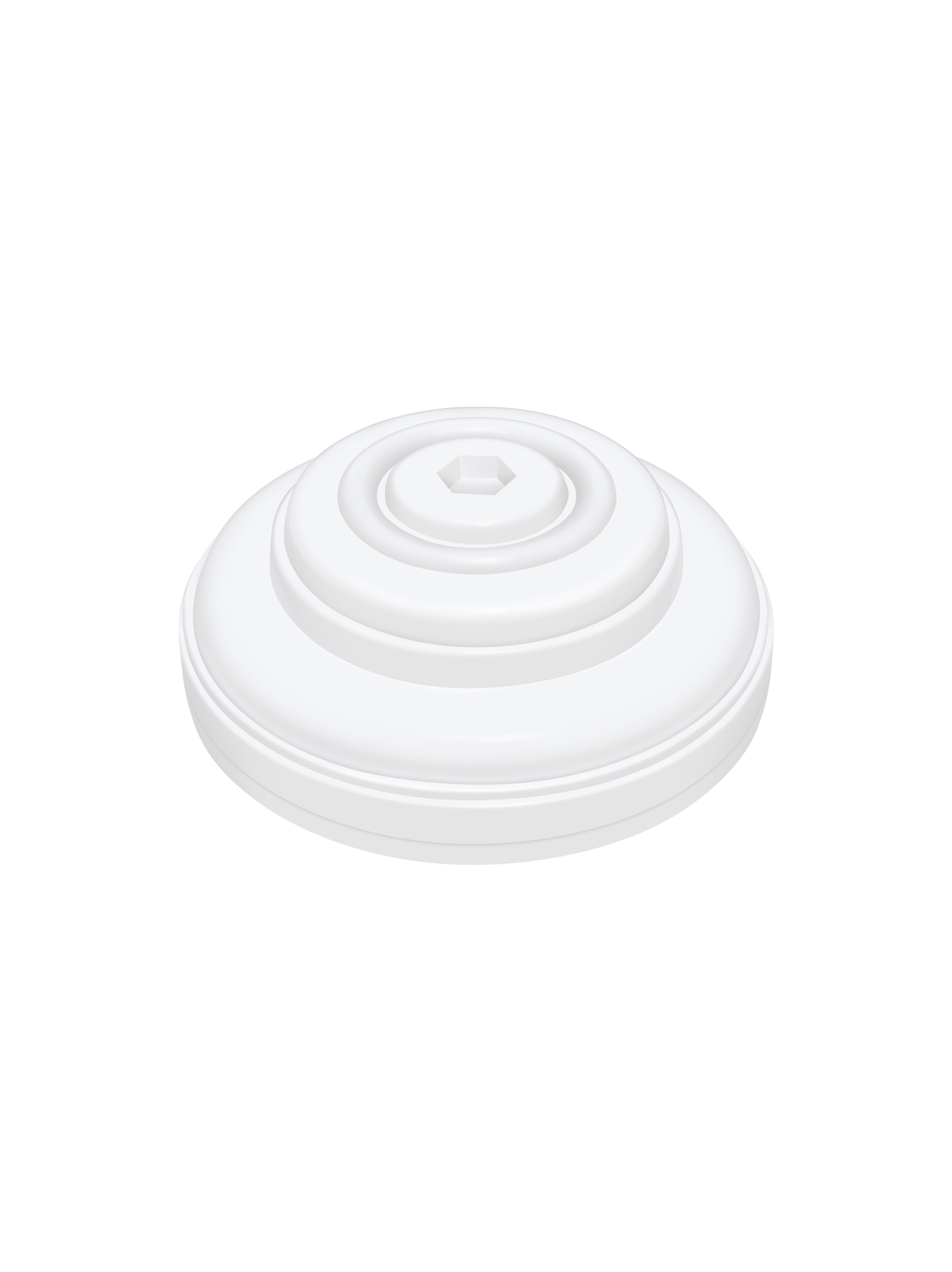 Jumbo Ceiling Rose Fancy(1)