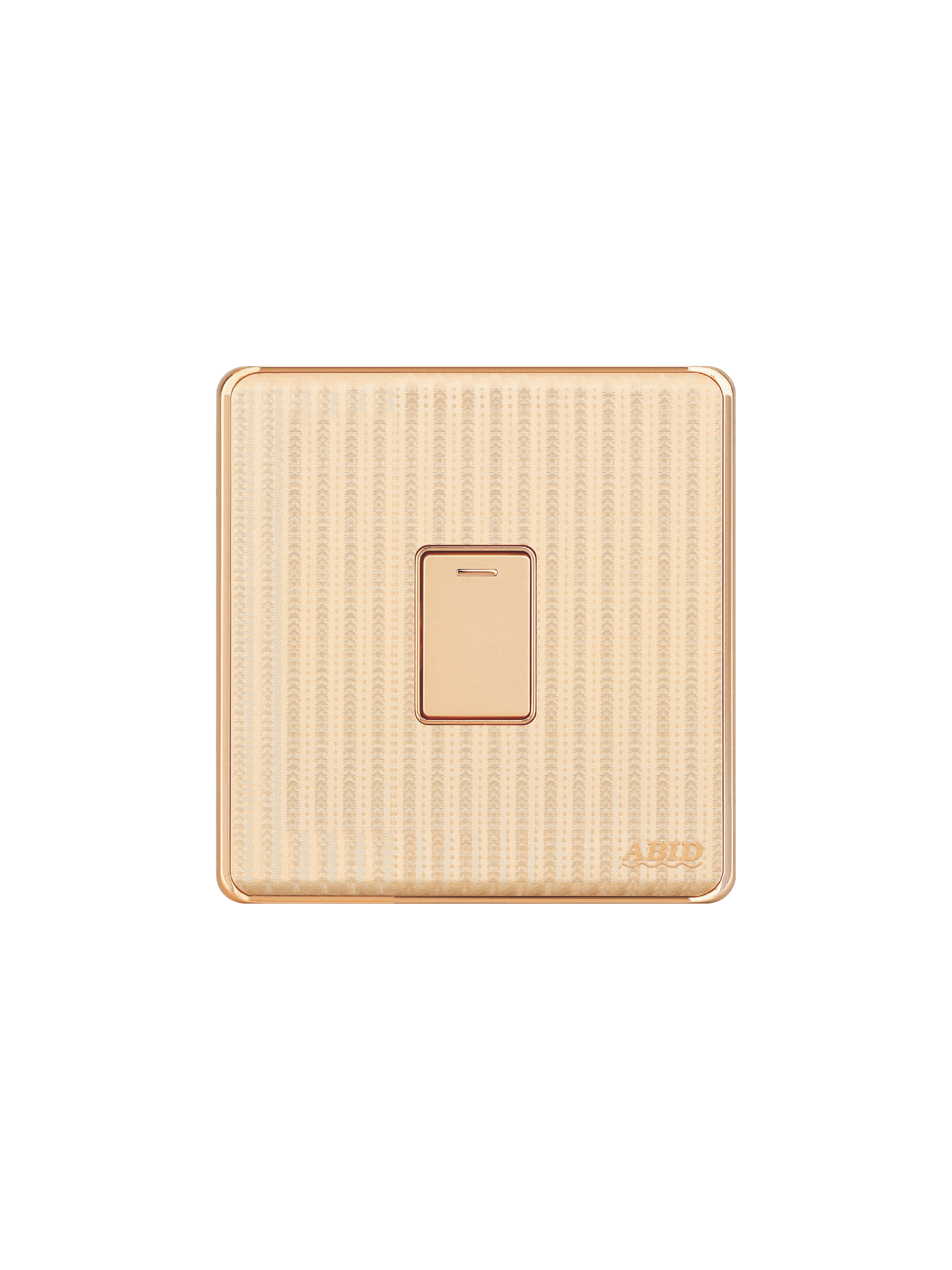 One Switch plate (1G)(1)